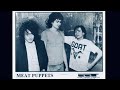 Meat Puppets- Flaming Heart