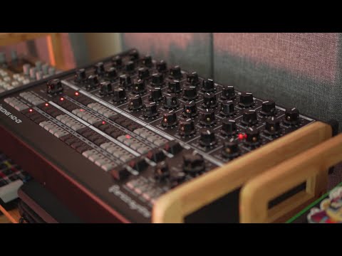Erica Synths PĒRKONS HD-01 - Black image 3