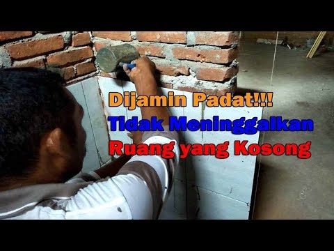 Video latihan untuk potensi gratis Ulasan krim nyata penis