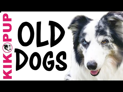 STOP UNWANTED behaviors with BACK UP