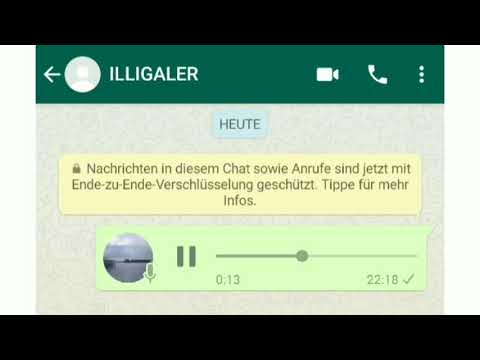 Illigaler-? (Prod by ?)