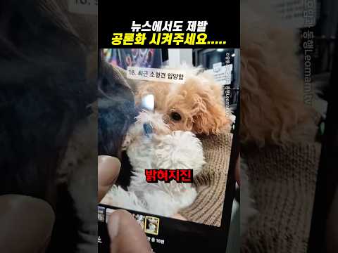 뉴스에서도 제발 공론화 시켜주세요…