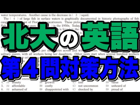 法学課程 要約文完成⁉︎北大英語第4問の対策方法【北大英語】