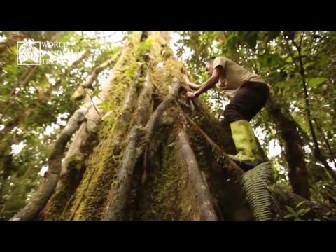 Humble Bundle Presents: World Land Trust for April Monthly 2016