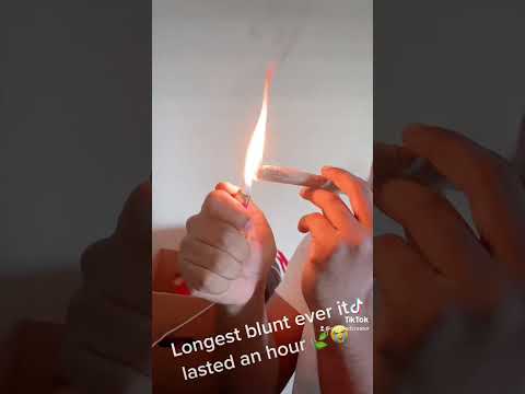 Longest Blunt Ever It Lasted An Hour 🍃😭 #shorts #ytshorts #smoke #high