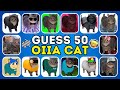 Guess 50 OIIA Cat Songs & Variants by Their Voice | OIIA OIIA (Spinning Cat) Quiz
