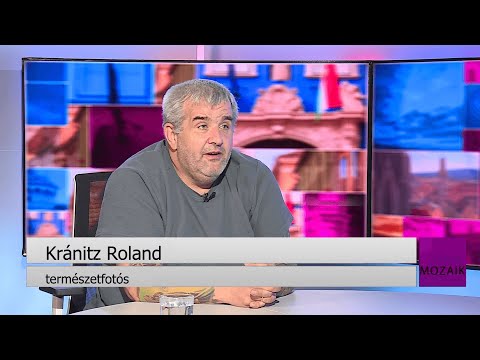 Mozaik - közéleti magazin - 2025.11.14. - Vendég: Kránitz Roland