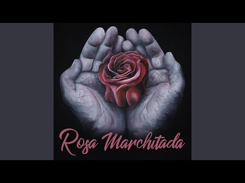 Rosa Marchitada