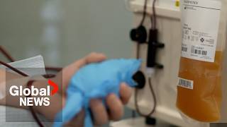 Parliament probes Grifols, Canadian Blood Services deal after 2 plasma donors die