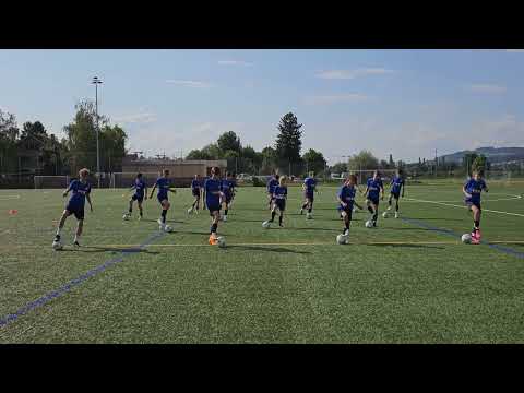 FC Luzern Nord FE-14 (U-14) Techniktraining - Coerver Level 3
