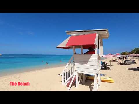 Videos del Deja Resort 3★ en Montego Bay, Jamaica
Ver Más
Ver
Precios
21
Cerrar
Consulta por Whatsapp 🇦🇷
Booking
Tripadvisor
Expedia
Agoda
Travelocity
Orbitz
Priceline
Trip
Skyscanner
Despegar
Kayak
Hoteles
Bestday
Destinia
Trivago
Turismocity
Lastminute
Hotwire
Cheaptickets
Tui
Wotif
