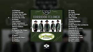 Corridos Felones [Serie 35] – Los Tucanes De Tijuana (Album Completo)