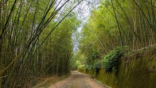 [問卦] 買了一台無人機要幹嘛= =