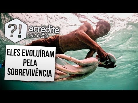 CONSEGUIRAM EVOLUIR ÓRGÃO PARA MERGULHO