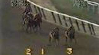 Affirmed vs. Alydar - 1977 Futurity Stakes (4th Meeting)
