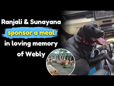 Ranjali & Sunayana sponsor a meal in loving memory of Webly