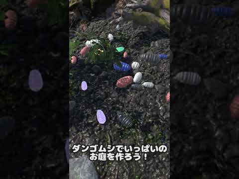 Roly-Poly Friends