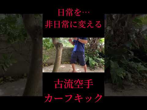 【幹】古流唐手のカーフキック！新垣盛賢先生×熊澤伸哉