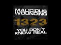 Malicious Wounding You Don T Know Real 2022 Full EP