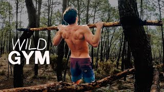 I Built a Gym in the Woods Using Only Hand Tools