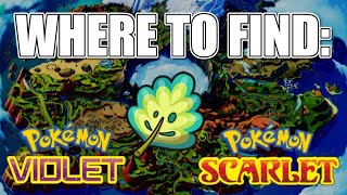 Mirror Herb Location - Pokemon Scarlet &amp; Violet