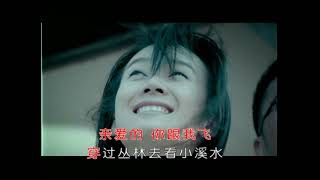 庞龙《两只蝴蝶》MTV、【music video】
