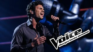 Sebastian James Hekneby - Earth Song | The Voice Norge 2017 | Finale