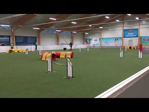 Jyty ja Pate Tamsk 19.10.2019 hypäri maksi1