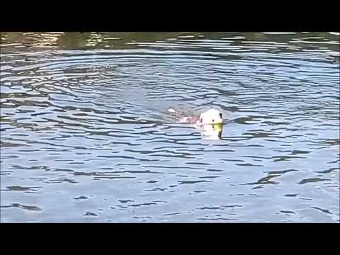 Carmen a Amy poprvé spolu u vody 12. 6. 2015