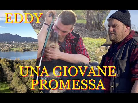 La strada di Eddy, una giovane promessa