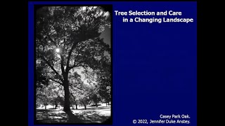 Tree Selection and Care in a Changing Landscape