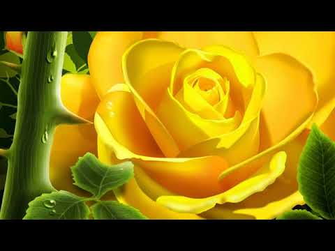 Milano - Myli nemyli