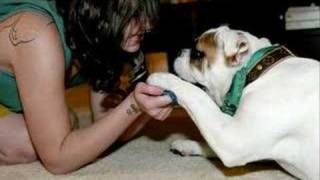 If You Could Remember