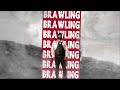 Chronic Law Another Year Official Lyric Video