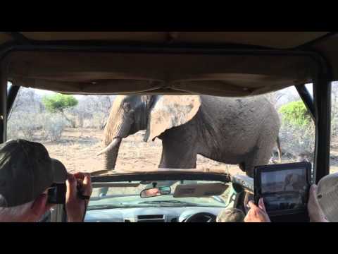 download lagu mp3 mp4 Modumela, download lagu Modumela gratis, unduh video klip Modumela