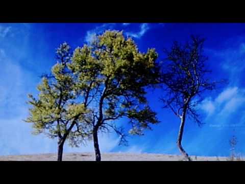 Victor Salon Orchestra, Nat Shilkret, director:  "Always"  (1926)