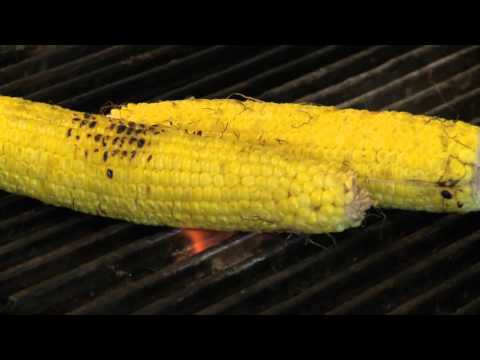 download lagu mp3 mp4 Marilyn Schlossbach, download mp3 Marilyn Schlossbach free download mp3, download mp3 Marilyn Schlossbach