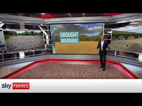 Heatwave: How will it impact Britain's water supply?