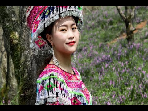 Xa Koj Tsis Xav ncaim 送你不想分离呀——Paj Yi Lauj2020