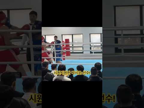 링에 올라섰다 하면 다운을 잡아내는 박시운 선수! #boxing #boxingtraining #kyanboxing #복싱 #카이안복싱 #권투 #하드펀쳐 #빠따 #돌주먹