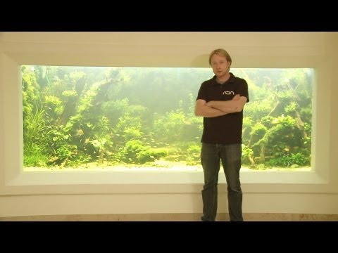 ANIMALISCH die Tiersendung Nr.09  10`000 Liter Aquarium mit Andi Hofstetter