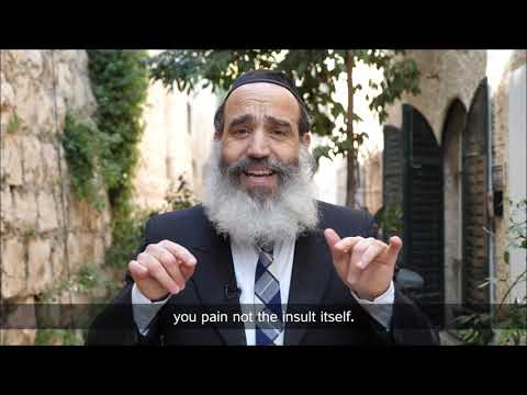 Rabbi Fanger - How to deal with insults