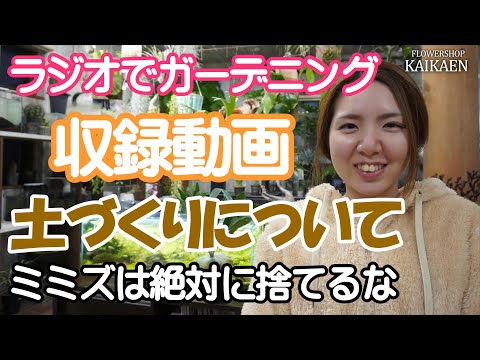 菜園にミミズが！ミミズは庭師の友達なので、パニックにならないでください。なぜ彼らを庭に引き寄せるのでしょうか？  庭園