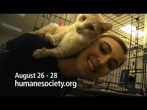 download lagu mp3 mp4 Animal Rescue Gainesville Fl, download lagu Animal Rescue Gainesville Fl gratis, unduh video klip Animal Rescue Gainesville Fl