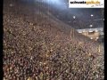 Болельщики FC Borussia Dortmund 