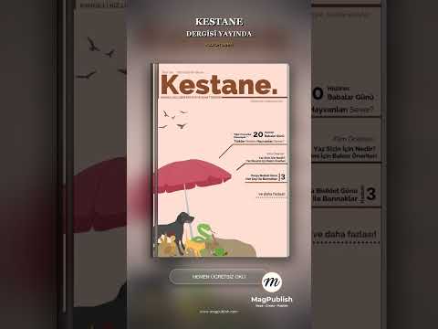 YouTube Preview
