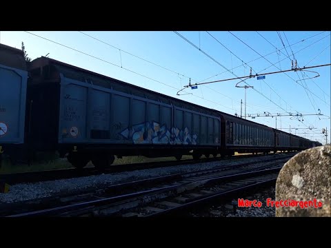 Treni a Padova Interporto il 18 Agosto 2021 (dalle 8 alle 9)