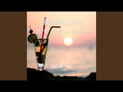 デザイナーメタルテラススクリーン