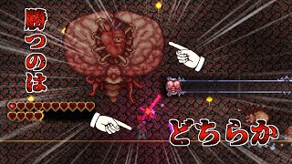 【Terraria】旅の終わりに剣と魔法(剣)をPart3【ゆっくり実況】
