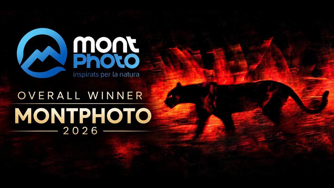 I Won MontPhoto 2026&hellip; This Is What It Feels Like - YouTube